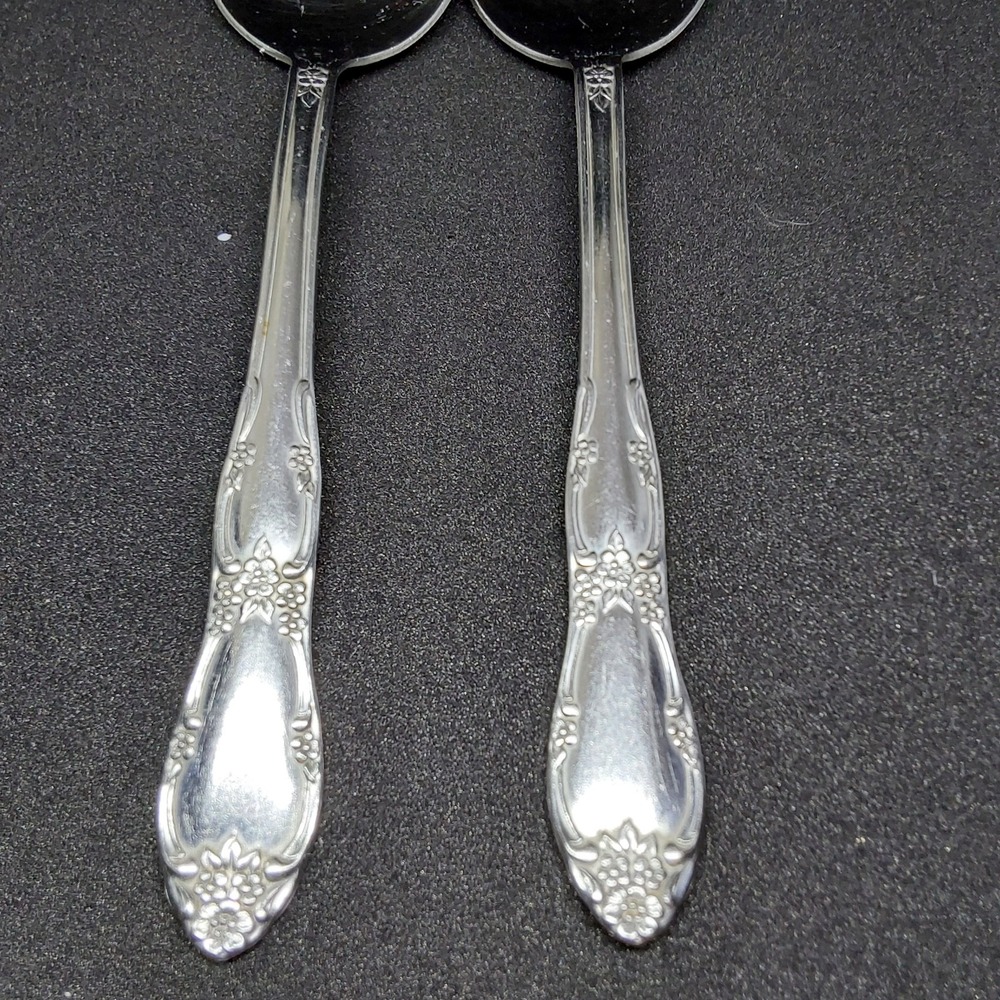 Wm A Rogers Oneida Fenway‎ Daydream Stainless Flatware Lot of 2 Serving Spoons